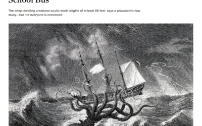 National Geographic: Giant Squid Could Be Bigger Than a School Bus